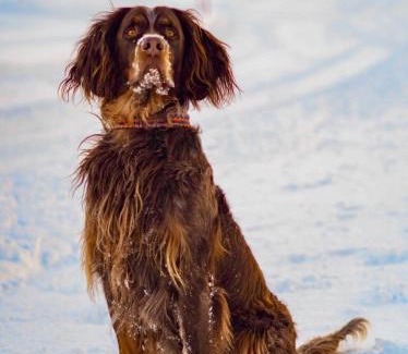 Obertauern Hotel | Hotel Binggl