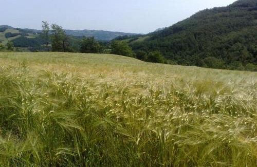 Castelluccio Hotel | Hotel Bruna