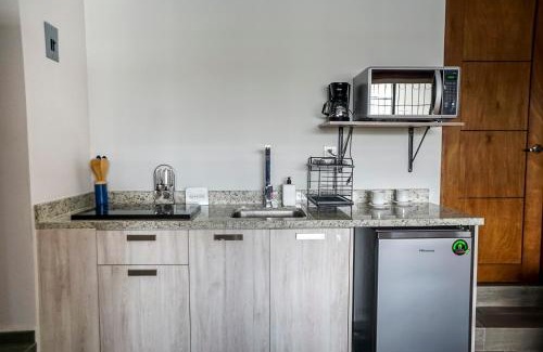 Leon House | Hotel Bugambilias