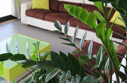 Ponte Sasso Hotel | Hotel Caravel