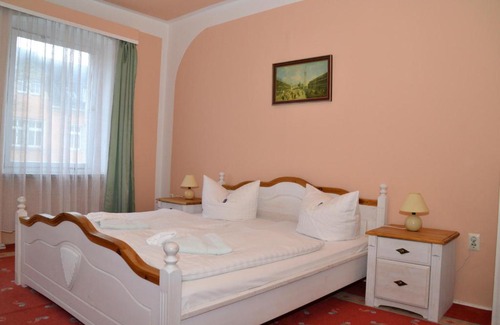 Bad Elster Hotel | Hotel Central