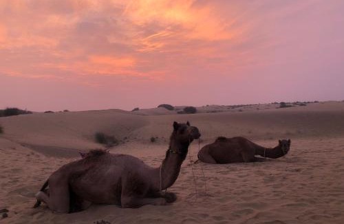 Amar Sagar Pol Hotel | Hotel desert village of