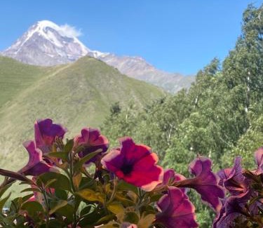 Gergeti Hotel | Hotel Elegant