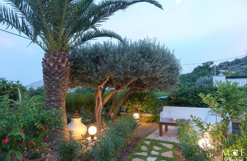 Alinda Apartment | Hotel Elena