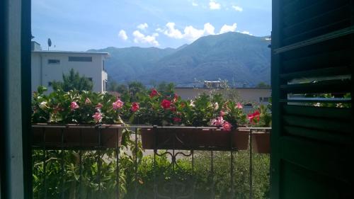 Ascona Hotel | Hotel Garni dei fiori