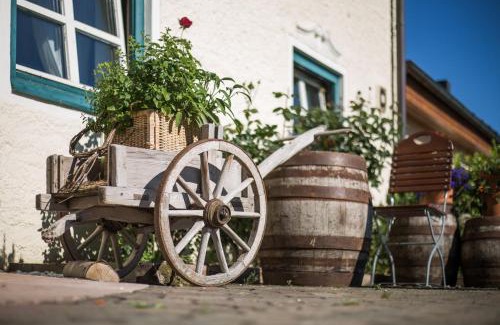 Koppl House | Hotel-Gasthof Am Riedl