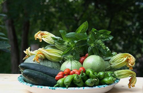 Radicondoli Bed & Breakfast | Hotel Giogliano