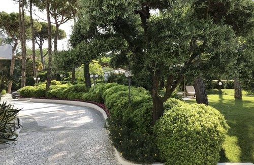 Lignano Pineta Hotel | Hotel Greif