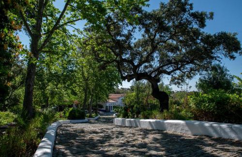 Reguengos de Monsaraz Hotel | Hotel Horta da Moura