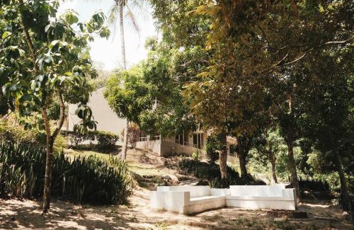 Papare Hotel | Hotel Hukumeizi Minca