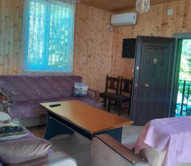 Adjara Apartment | Hotel in willege