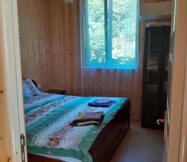 Adjara Apartment | Hotel in willege