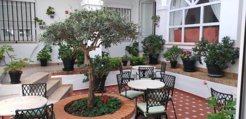 Arcos de la Frontera Hotel | Hotel Los Olivos