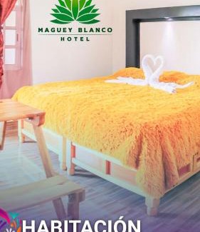 Ixmiquilpan Hotel | Hotel Maguey blanco