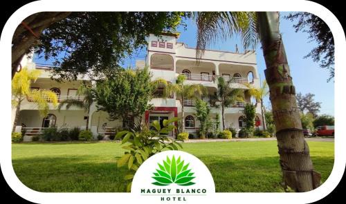 Ixmiquilpan Hotel | Hotel Maguey blanco
