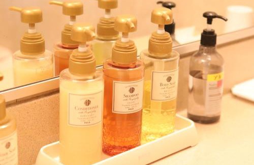 Matsumoto Hotel | Hotel Montagne Matsumoto - Vacation STAY 73675v