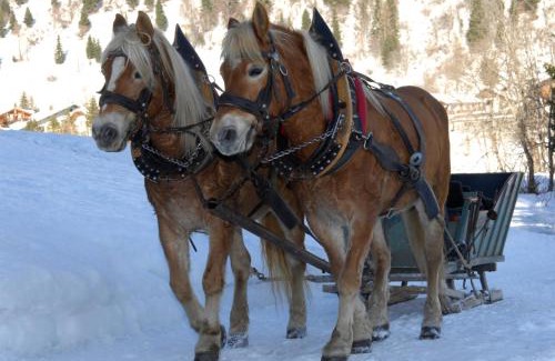 Caprile Hotel | Hotel Monte Civetta