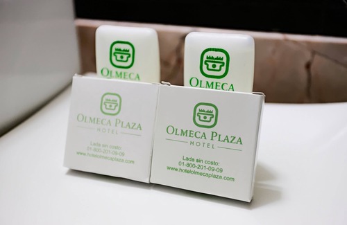 Villahermosa Hotel | Hotel Olmeca Plaza