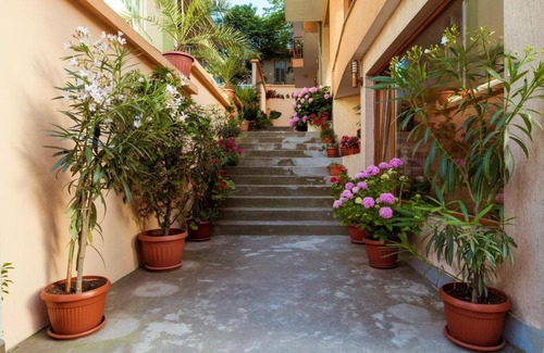 Sozopol Hotel | Hotel Orchidea