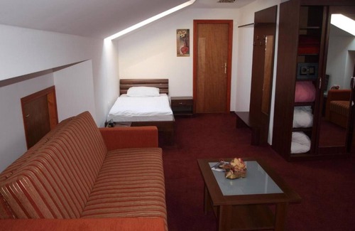 Klenovnik House | Hotel Orion - Single Room with Balcony