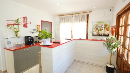 Clara Hotel | Hotel Paradís