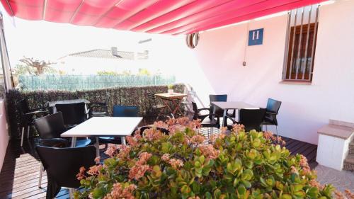 Clara Hotel | Hotel Paradís