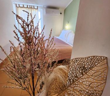 Silvi Hotel | Hotel Petit