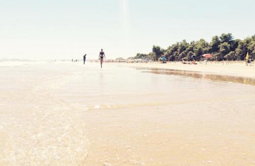 Silvi Hotel | Hotel Petit