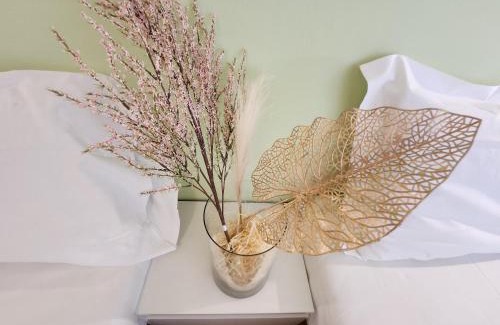 Silvi Hotel | Hotel Petit