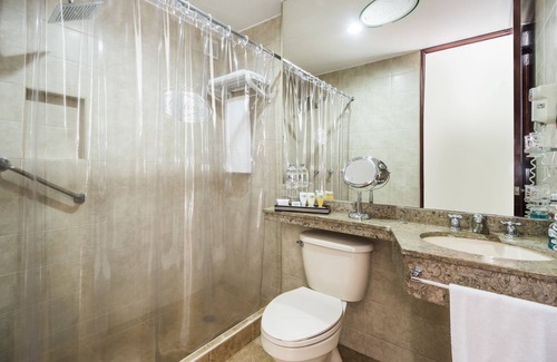 Quinta Paredes Hotel | Hotel Platinum Suite