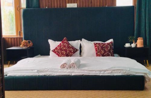 Srinagar Hotel | hotel queen city