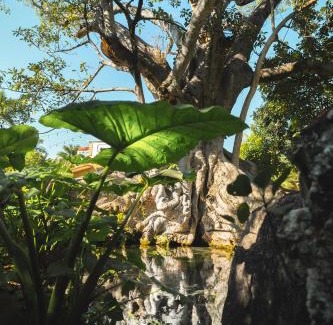 Oaxtepec Hotel | Hotel Quinta Moctezuma