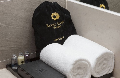 Downtown Hotel | Hotel RegentMarine