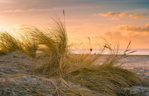 Norddeich Hotel | Hotel Regina Maris