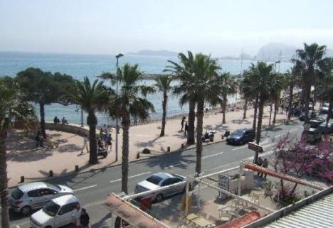 La Ciotat Hotel | Hotel Restaurant Miramar L'orchidée