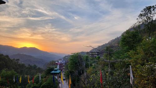 Solan Hotel | Hotel Royal Ark - Kasauli