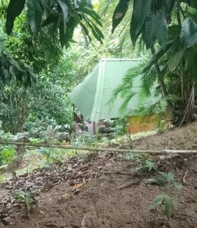 Canaveral Hotel | hotel san rafael