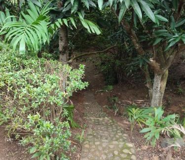 Canaveral Hotel | hotel san rafael