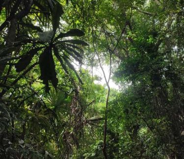 Canaveral Hotel | hotel san rafael