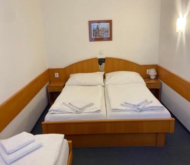 Branik House | Hotel Sanssouci