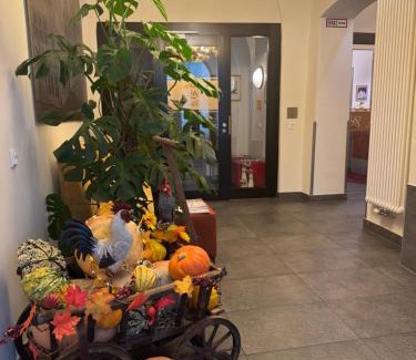 Altstadt Hotel | Hotel Schwibbogen Altstadt & Apartments