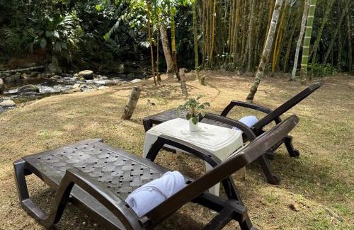 San Carlos Hotel | Hotel Selva Cristal