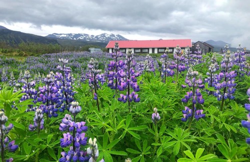 Hjardarfell Hotel | HOTEL SNAEFELLSNES formally Hotel Rjukandi