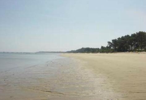 Carvalhal Hotel | Hotel Soltroia - Foz Do Sado