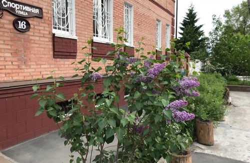 Syzran Hotel | Hotel Vinoghrad