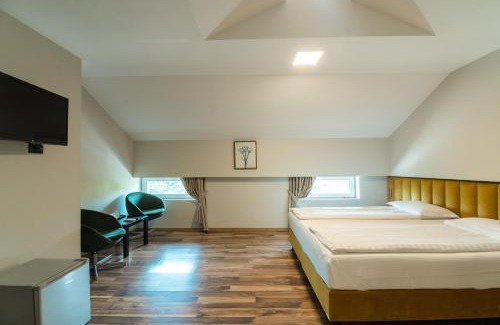 Baile Felix Hotel | HOTEL VITAL