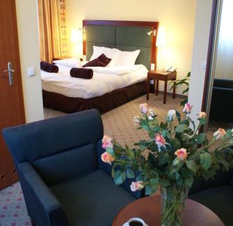 Pyrzowice Hotel | Hotel Wilga by Katowice Airport