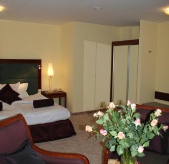 Pyrzowice Hotel | Hotel Wilga by Katowice Airport