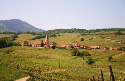 Blienschwiller Hotel | Hôtel Winzenberg bed and breakfast