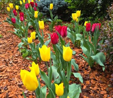 Ploiesti Hotel | Hotel Yarus Plus